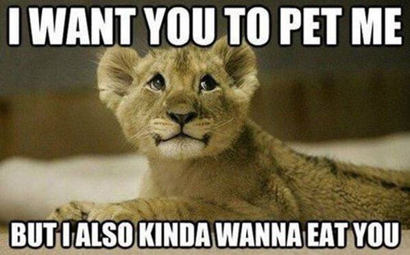 Pet Me