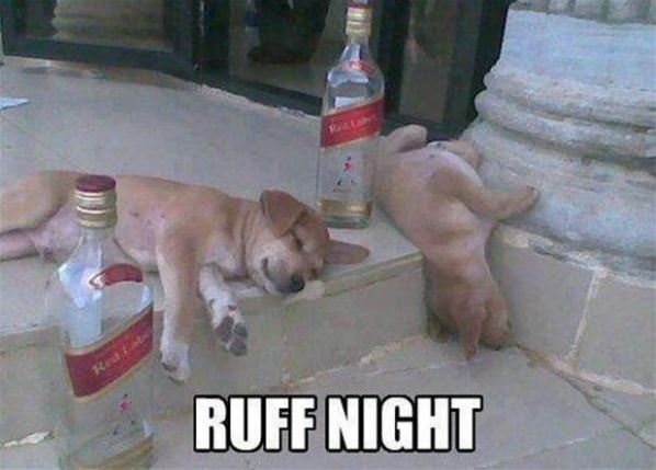 Ruff Night