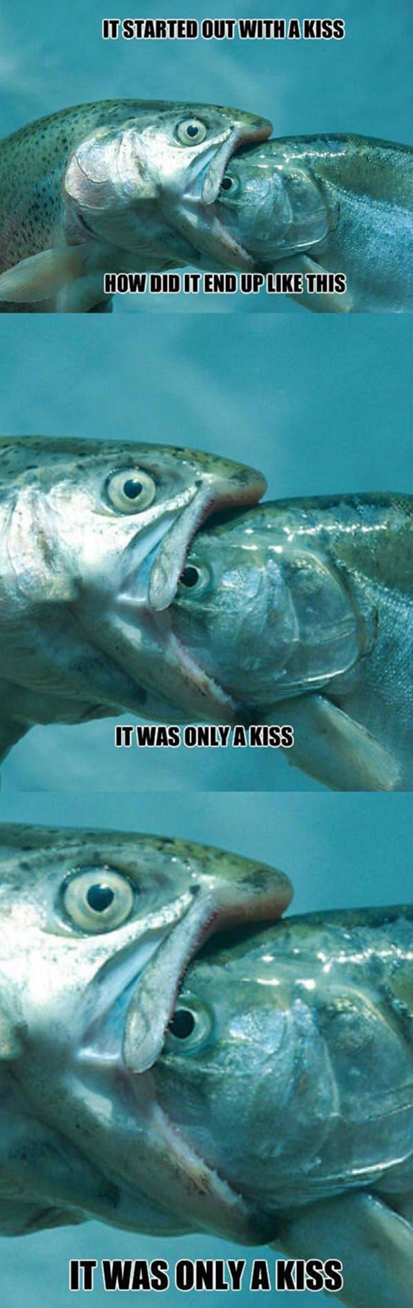 Started With A Kiss