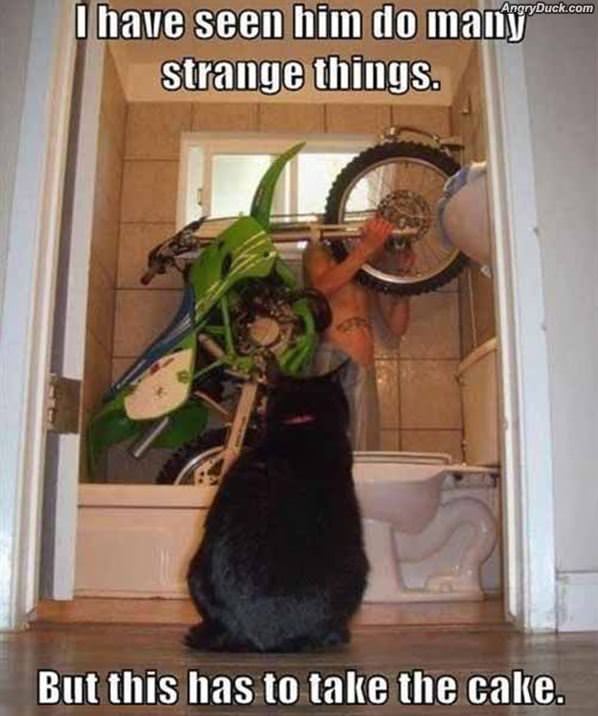 Strange Things