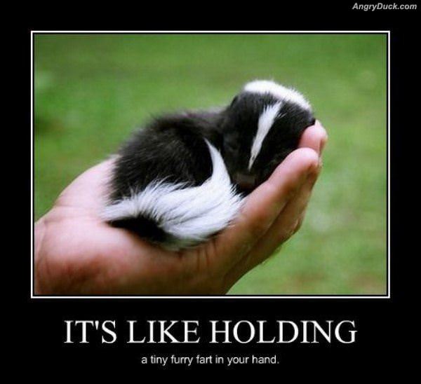 Like Holding