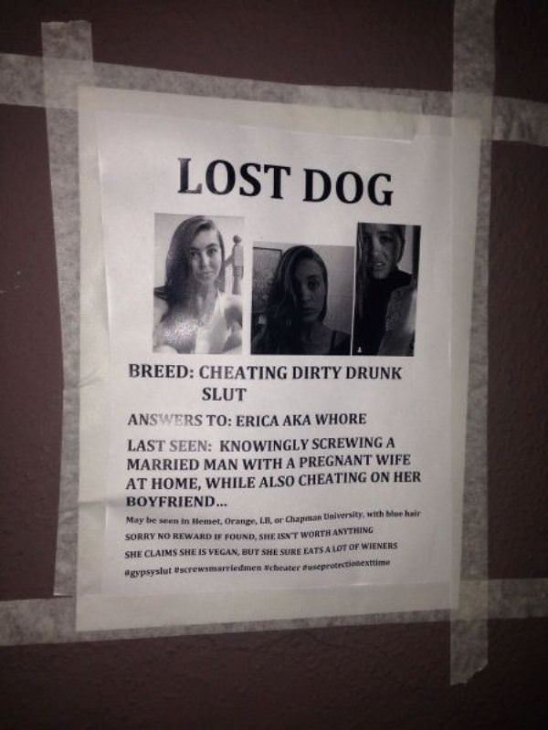 Lost Dog