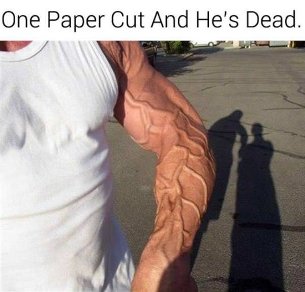 One Paper Cut