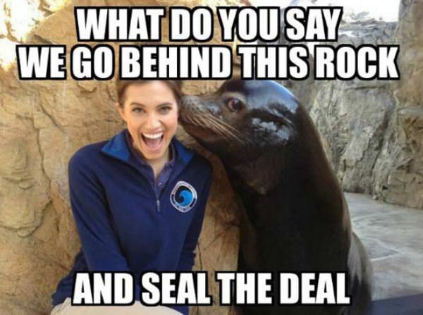 Seal The Deal