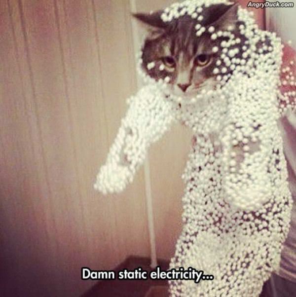 Static Electricity