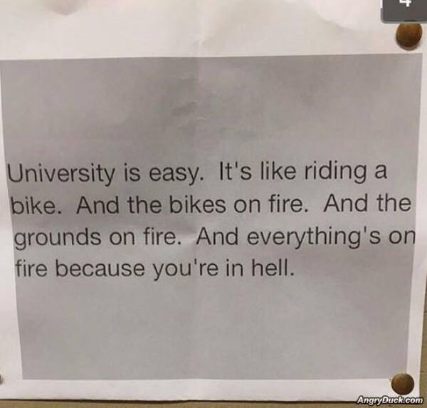 University Is Easy