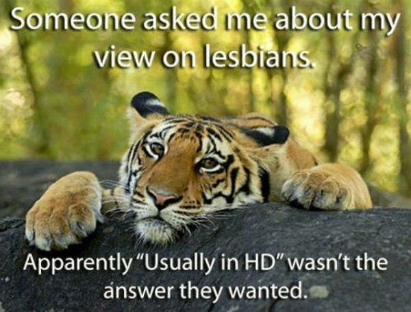 View On Lesbians