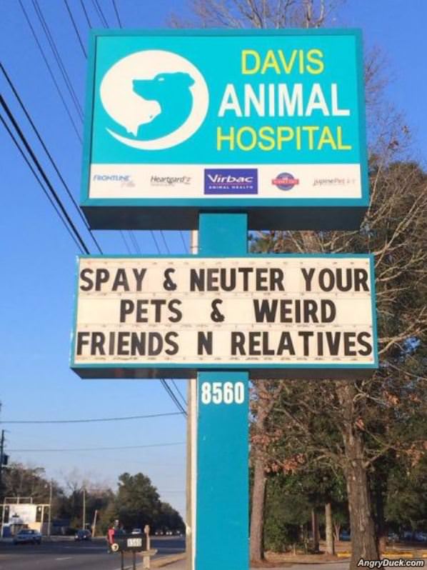 Spay And Neuter