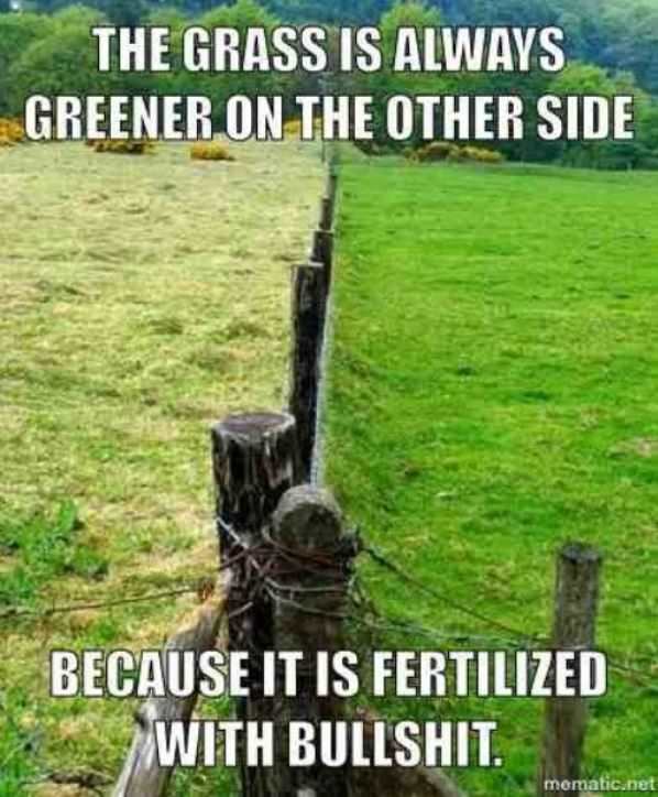 The Grass Is Greener