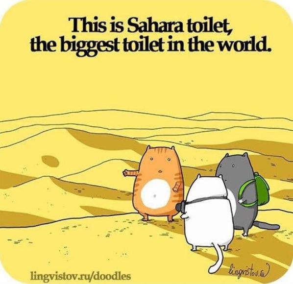 The Sahara