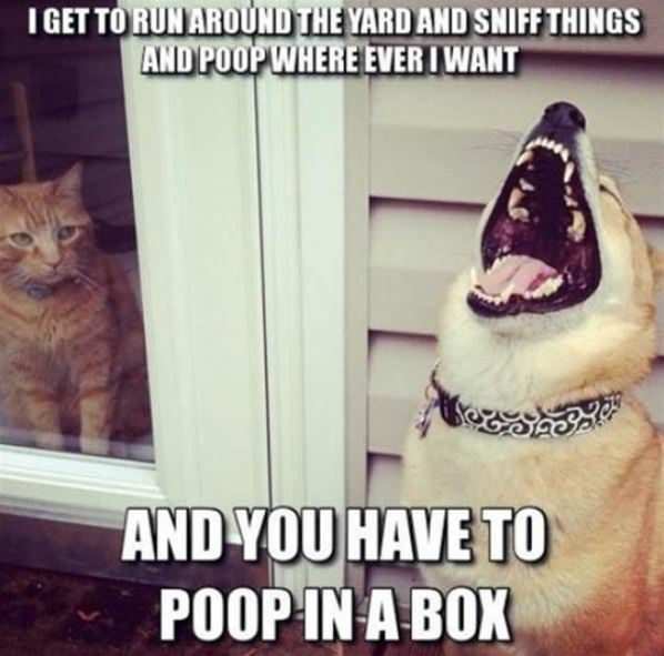 Dog Humor