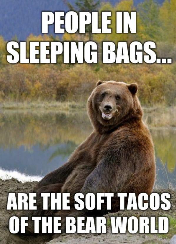 People In Sleeping Bags