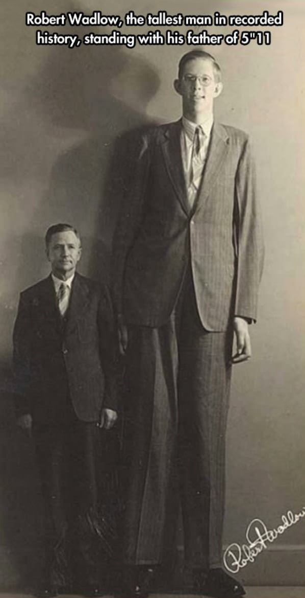 Robert Wadlow