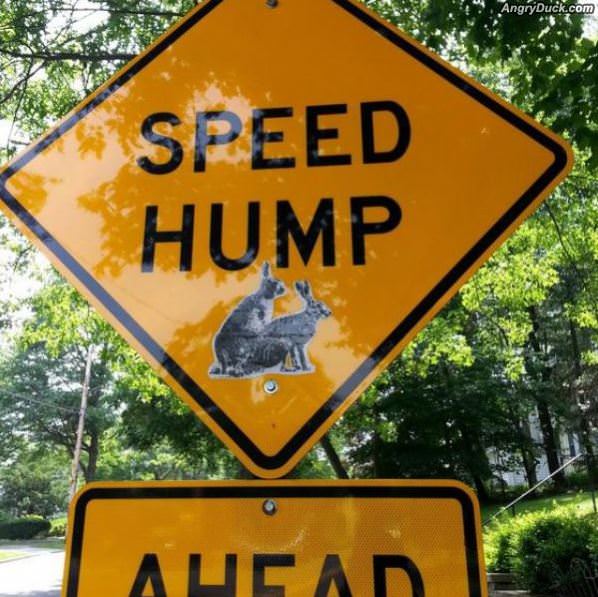 Speed Hump Ahead