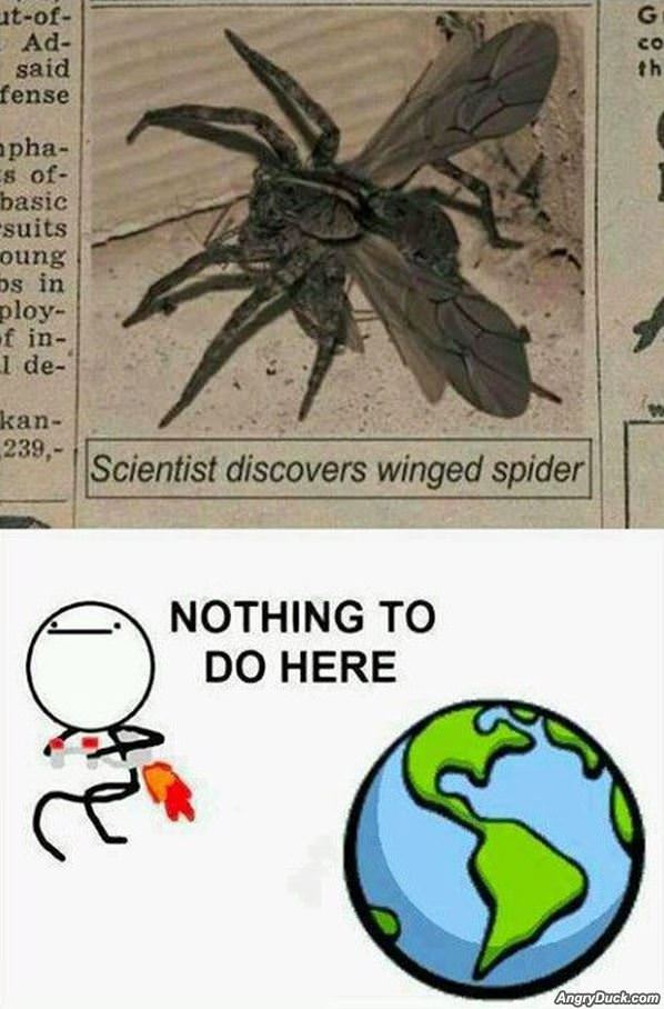 Winged Spider