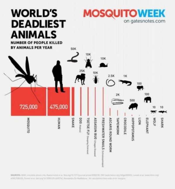 Deadliest Animals