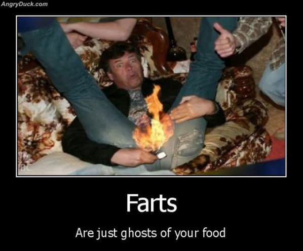 Farts