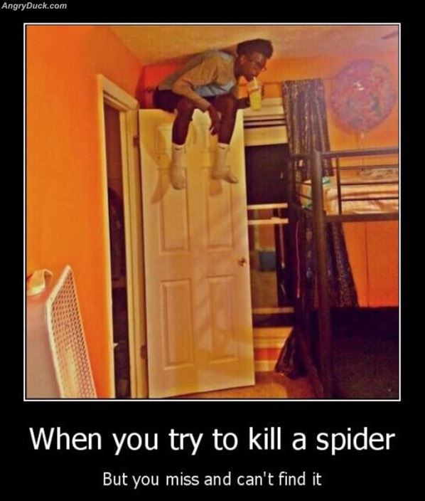 Killing A Spider