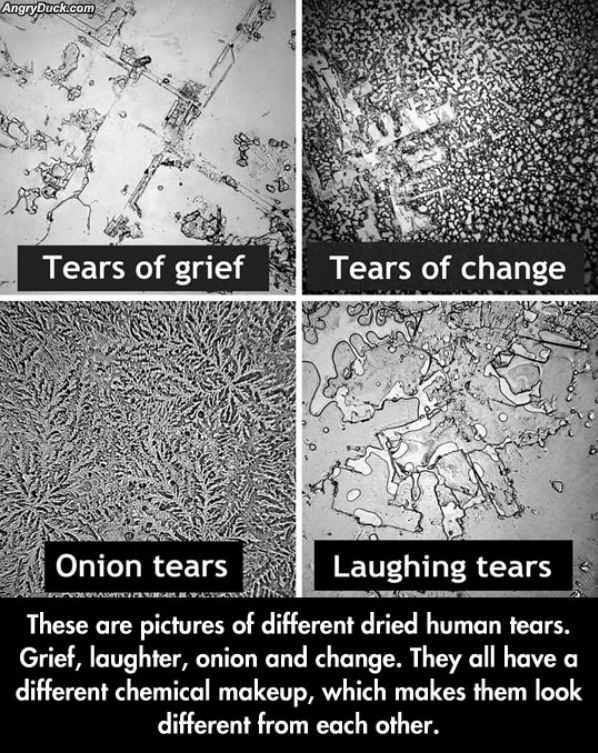 Tears Are Different