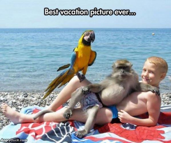 Epic Vacation Picture