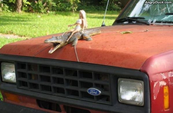 Hood Ornament