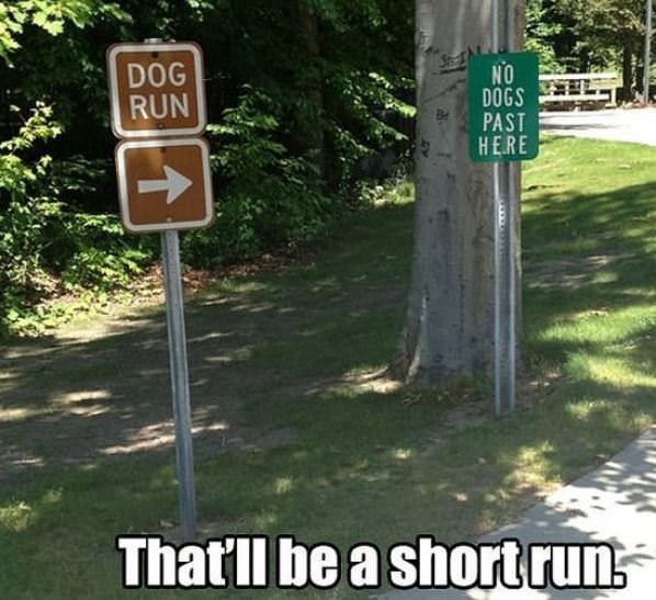 Short Run