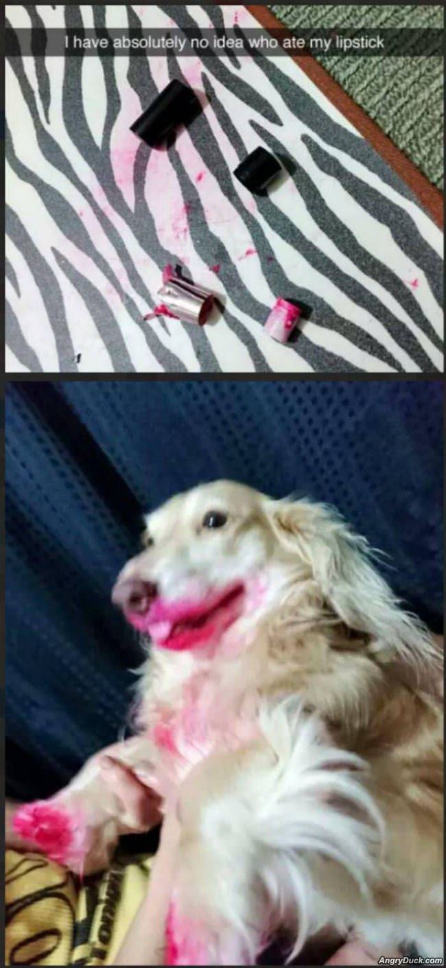 Ate The Lipstick