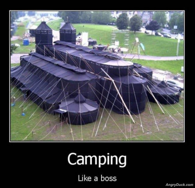 Camping Like A Boss