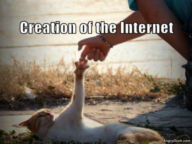 Creation Of The Internet