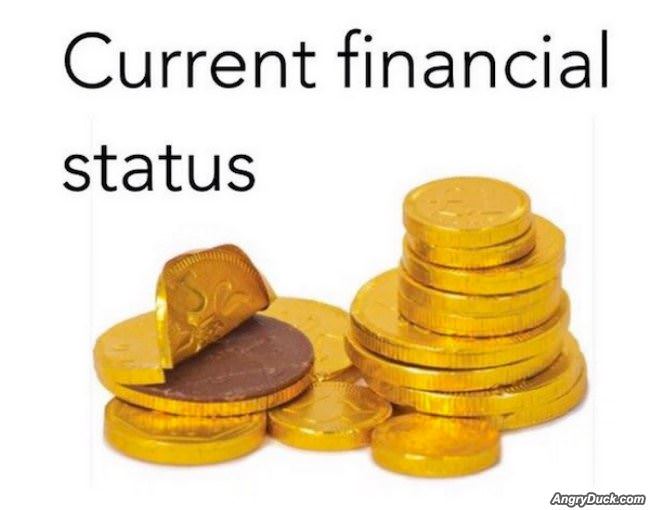 accurate-current-financial-status-funny