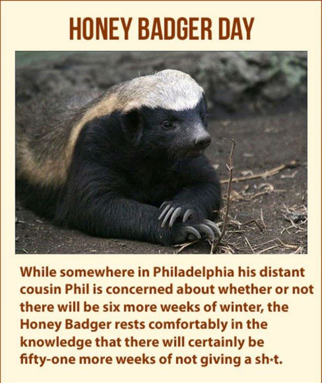 Honey Badger Day