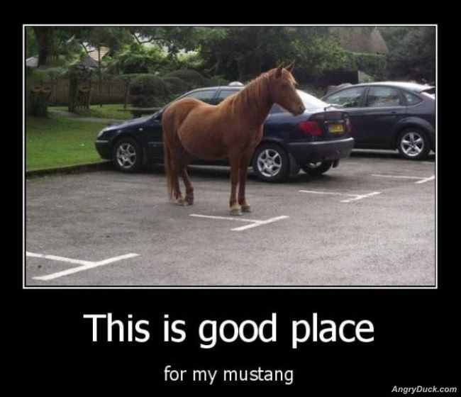 Mustang Parking