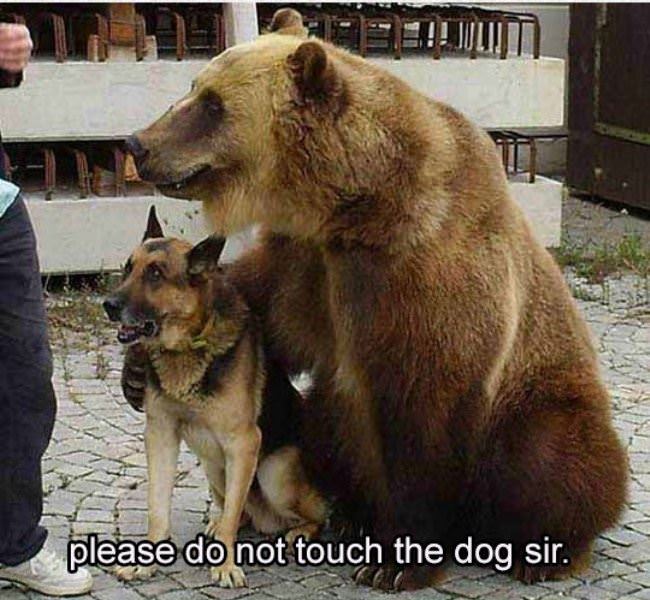 Please Do Not Touch