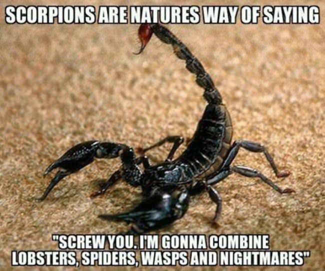 Scorpions