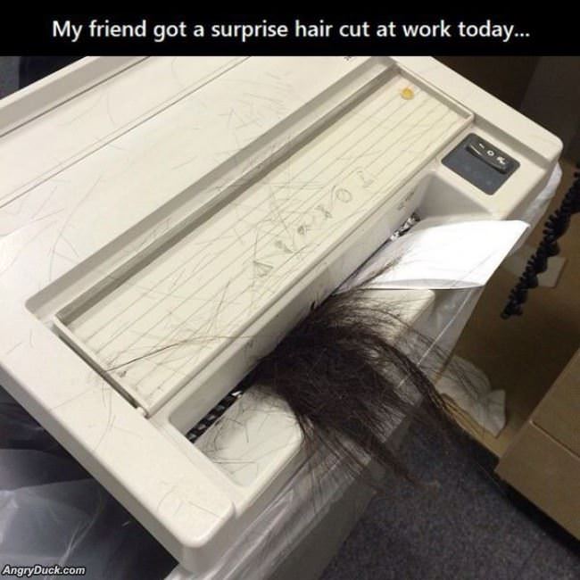 Surprise Hair Cut