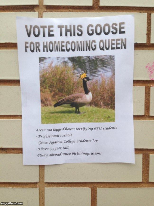 Vote This Goose