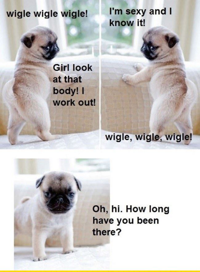 Wiggle Wiggle