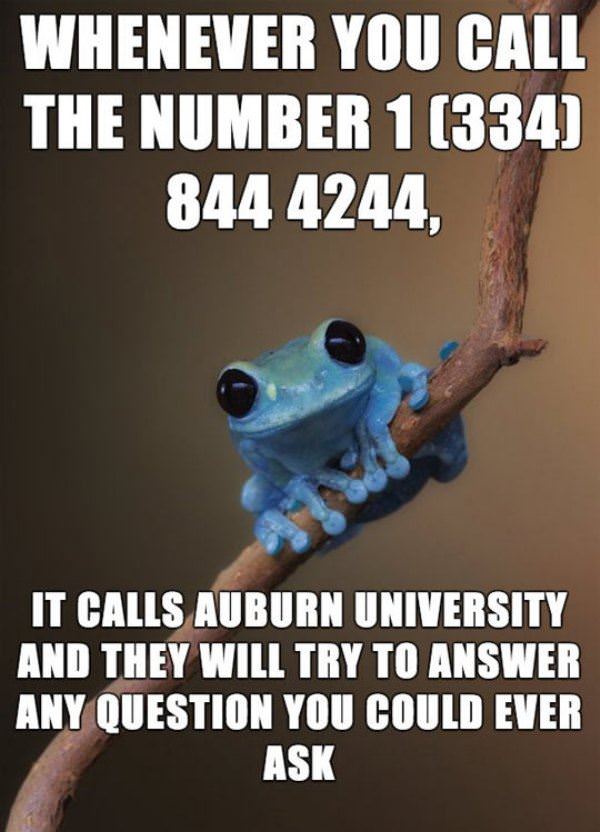 Auburn University Help Line