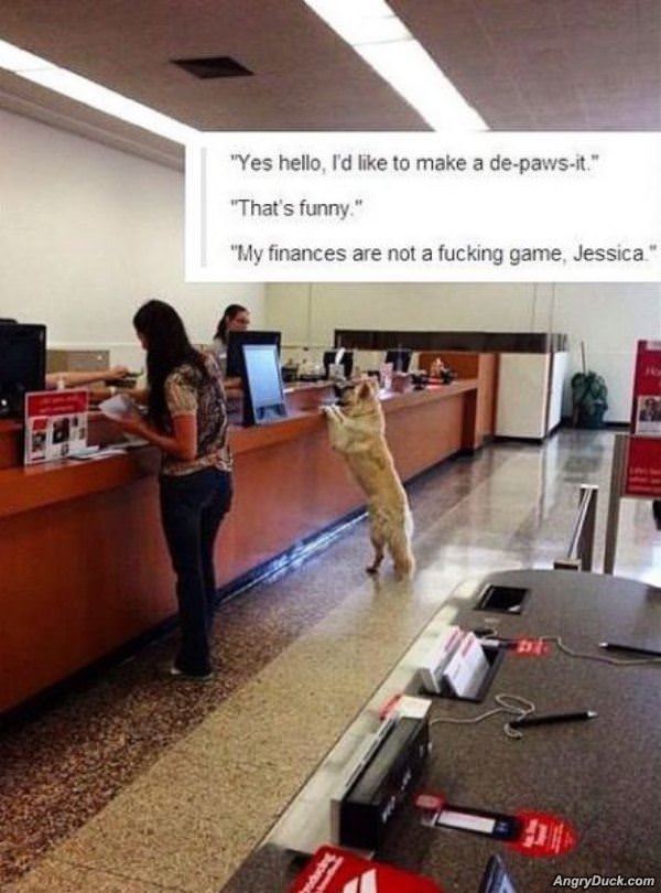 De Paws It