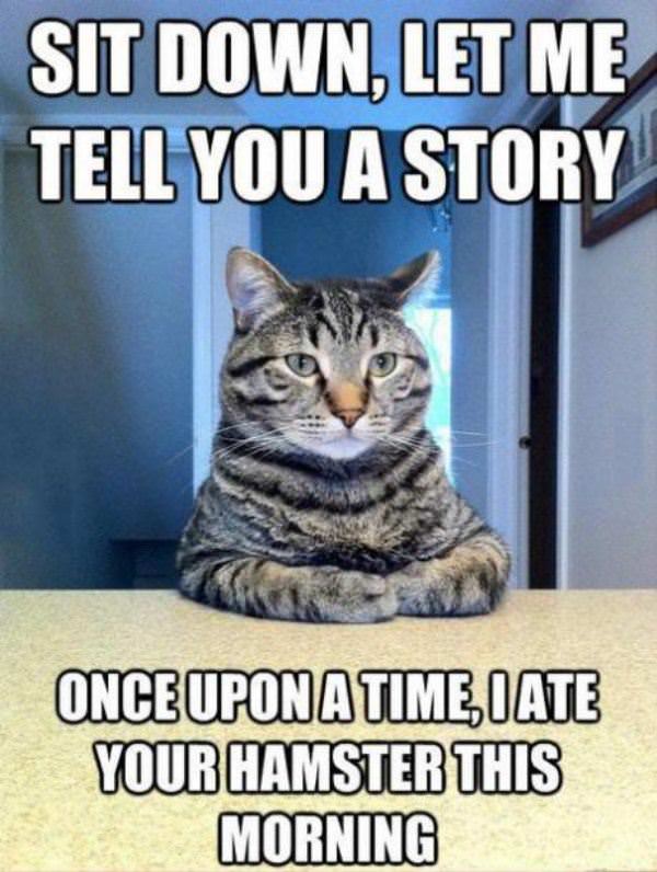 Let Me Tell You A Story