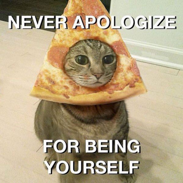 Never Apologize