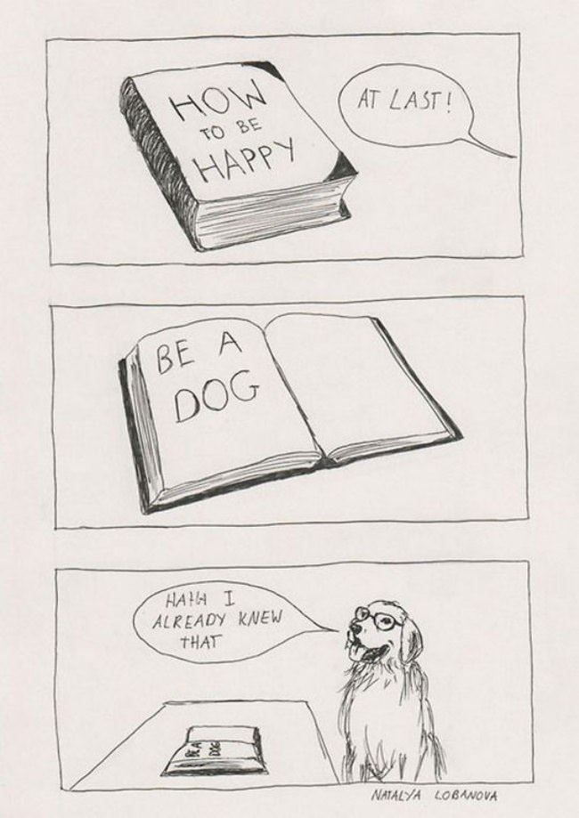 How To Be Happy