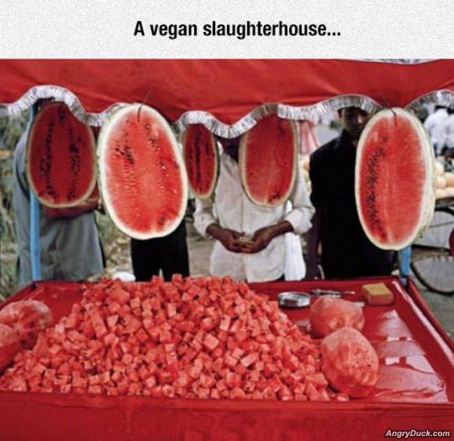 Vegan Slaughterhouse