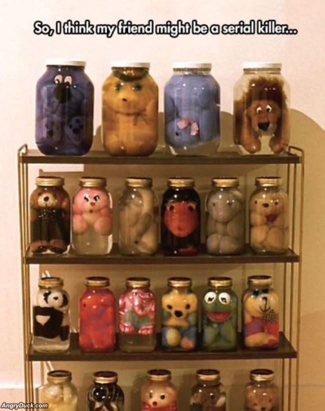 Cool Stuffed Animal Collection