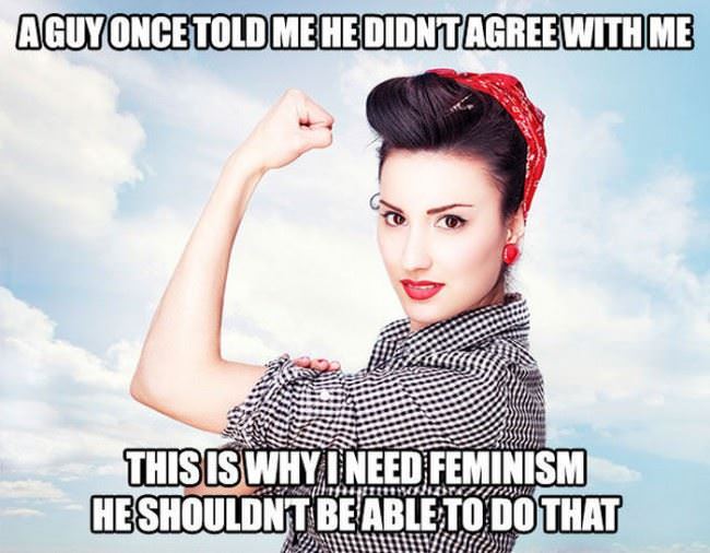 Feminism In A Nutshell