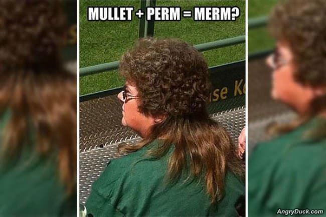 Mullet Perm