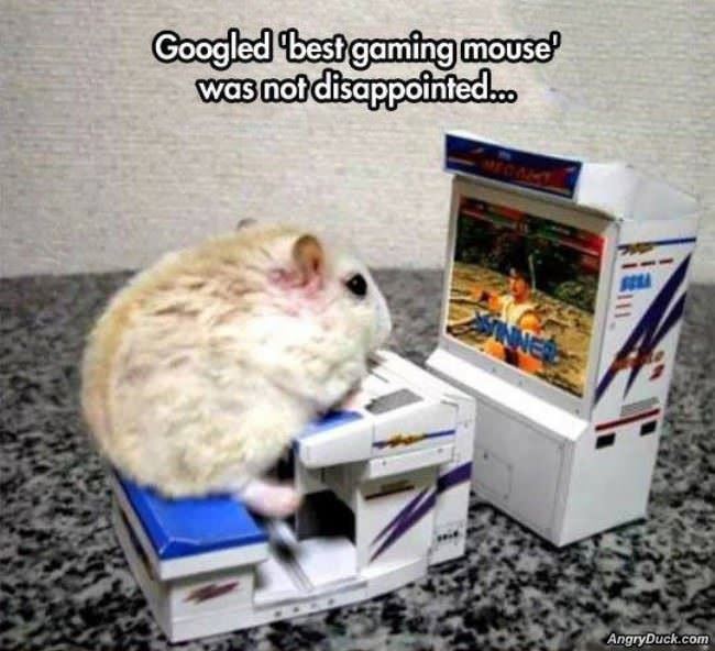 Best Gaming Mouse