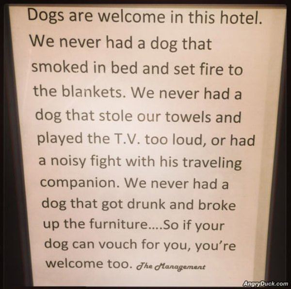 Dogs Are Welcome