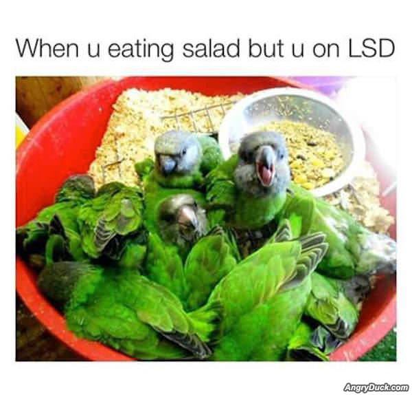 Eating Salad