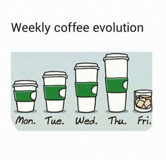 Weekly Evolution